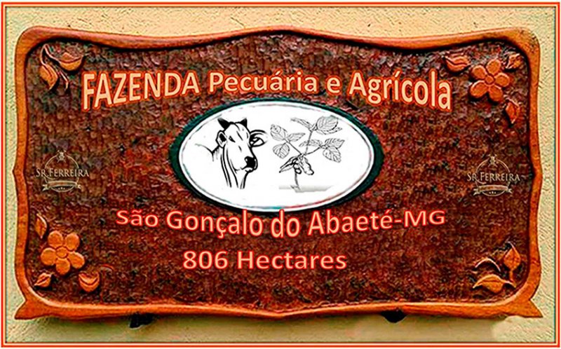 Fazenda - Venda - Rural - So Gonalo do Abaet - MG