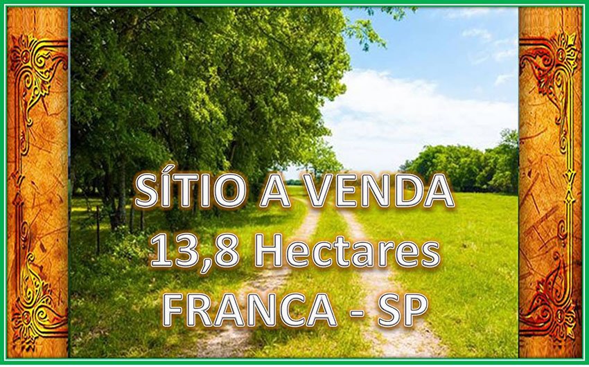 Stio - Venda - Franca - Franca - SP