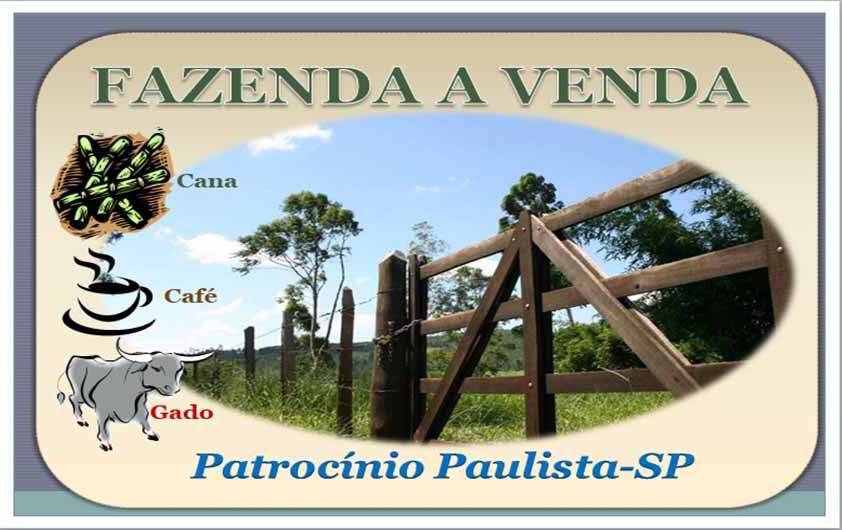 Fazenda - Venda - Rural - Patrocnio Paulista - SP