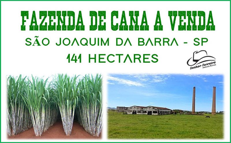 Fazenda - Venda - Rural - So Joaquim da Barra - SP