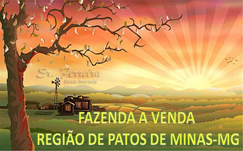 Fazenda - Venda - Rural - Varjo de Minas - MG