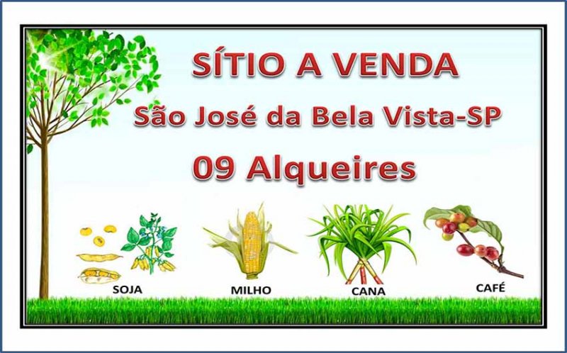 Stio - Venda - Rural - So Jos da Bela Vista - SP