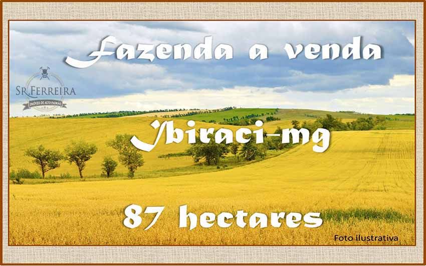 Fazenda - Venda - Rural - Ibiraci - MG