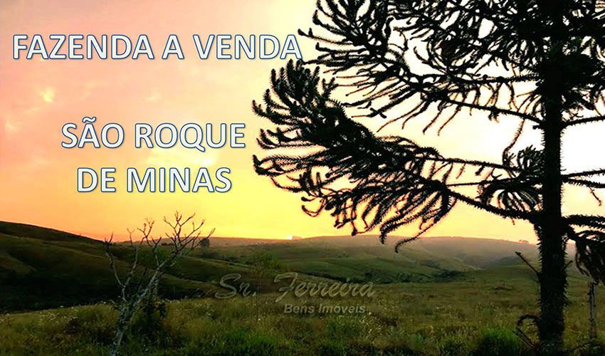 Fazenda - Venda - Rural - So Roque de Minas - MG