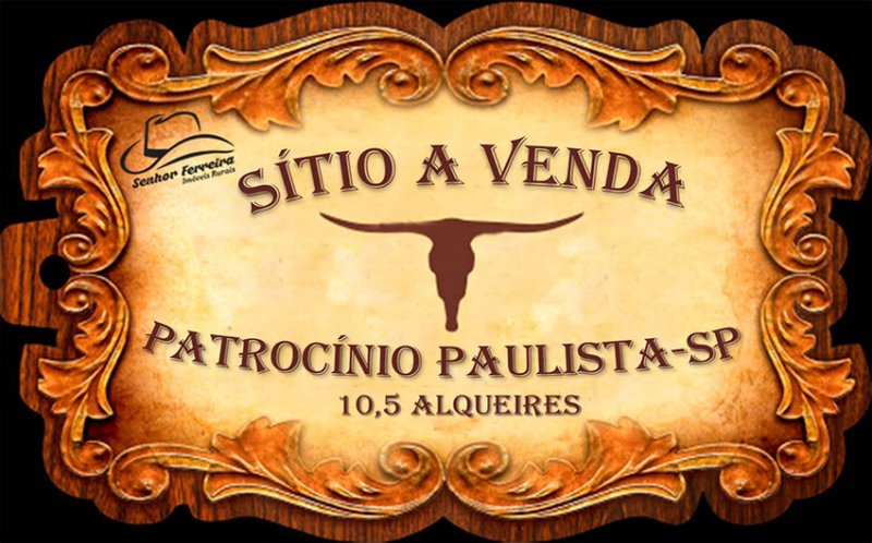 Stio - Venda - Patrocnio Paulista - Patrocnio Paulista - SP