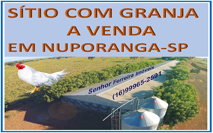 Sítio - Venda - Nuporanga - Nuporanga - SP