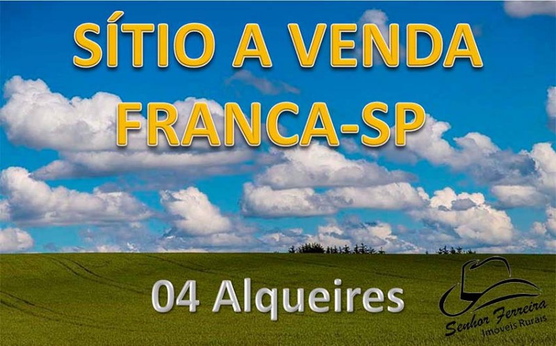 Sítio - Venda - Franca - Franca - SP