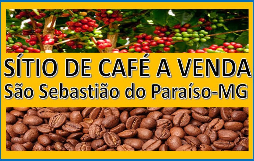 Sítio - Venda - São Sebastião do Paraíso-mg - São Sebastião do Paraíso - MG