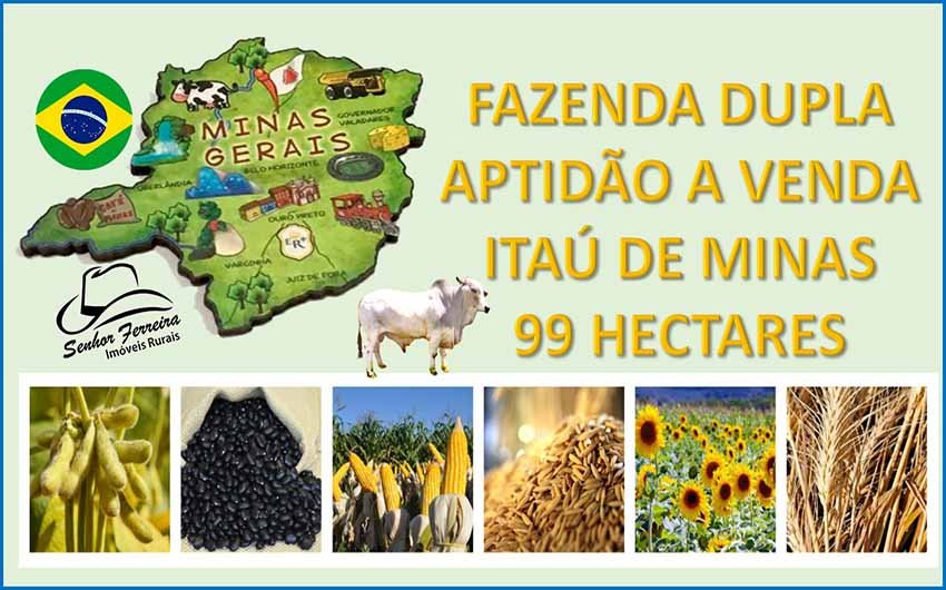 Fazenda - Venda - Itaú de Minas - Itaú de Minas - MG