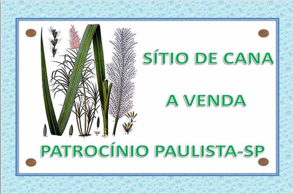 Sítio - Venda - Rural - Patrocínio Paulista - SP
