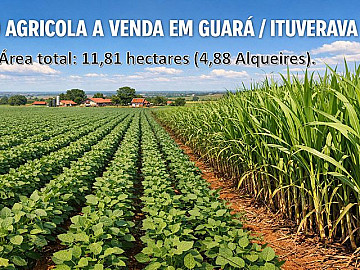 S�TIO AGR�COLA A VENDA EM GUAR� - ITUVERAVA-SP