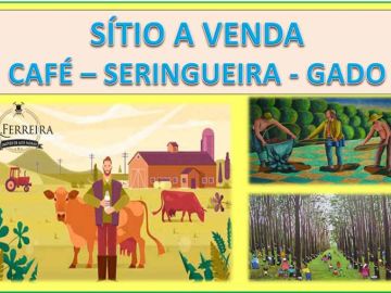 Sítio a venda - Café e Seringueira - Franca-SP