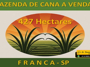 FAZENDA DE CANA A VENDA