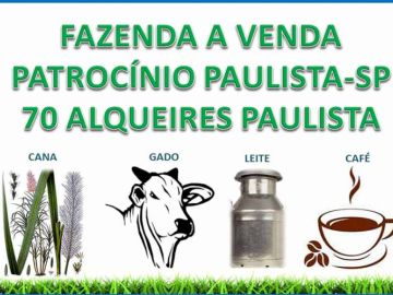 FAZENDA A VENDA - CANA E GADO - PATROCÍNIO PAULISTA-SP