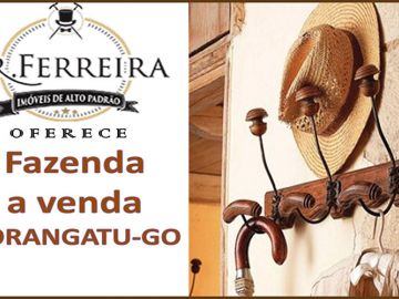 FAZENDA A VENDA EM PORANGATU-GO