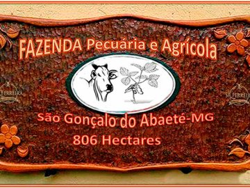 Fazenda a venda em São Gonçalo do Abaeté-MG