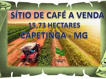 Sítio de café para venda  - Capetinga - MG