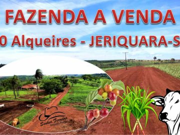 FAZENDA A VENDA EM JERIQUARA-SP