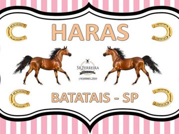 HARAS BATATAIS