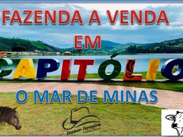 FAZENDA A VENDA EM CAPITÓLIO-MG