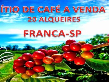 SÍTIO DE CAFÉ AUTOSSUFICIENTE A VENDA