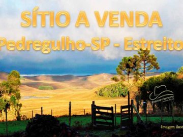 SÍTIO A AVENDA 24 ALQUEIRES – PEDREGULHO/ESTREITO-SP