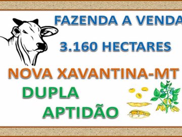 FAZENDA A VENDA EM NOVA XAVANTINA-MT