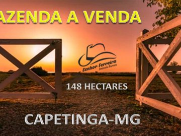 Fazenda Capetinga-MG-148 Hectares