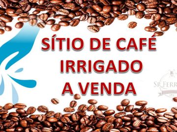 SÍTIO EM PATROCÍNIO PAULISTA - CAFÉ