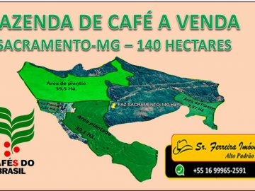 FAZENDA DE CAFÉ EM SACRAMENTO-MG