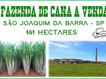 Fazenda de cana a venda - São Joaquim da Barra-SP