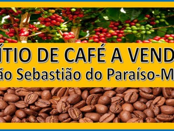 SÍTIO DE CAFÉ A VENDA EM SÃO SEBASTIÃO DO PARAÍSO-MG