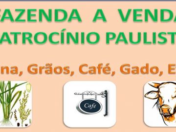 FAZENDA DE CANA A VENDA REGIÃO DE FRANCA-SP
