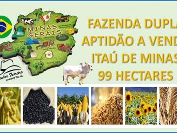 FAZENDA DUPLA APTIDÃO A VENDA EM ITAÚ DE MINAS