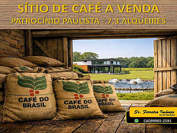 S�TIO DE CAF� A VENDA EM FRANCA / PATROC�NIO-SP