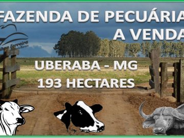 FAZENDA PARA PECUÁRIA A VENDA EM UBERABA-MG