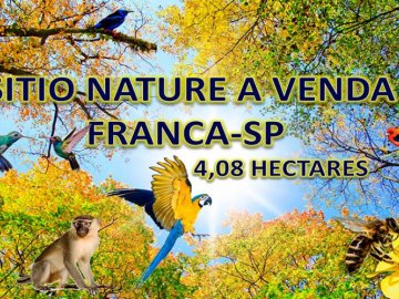 SÍTIO LAZER E RENDA - FRANCA-SP