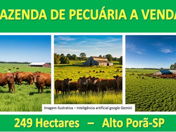 FAZENDA PECUÁRIA A VENDA EM ALTO PORÃ-SP
