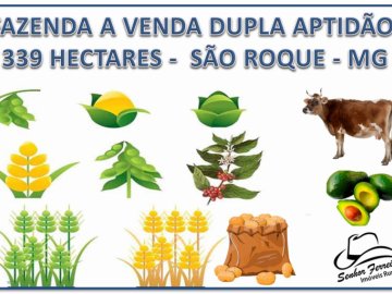 FAZENDA A VENDA EM SÃO ROQUE -MG