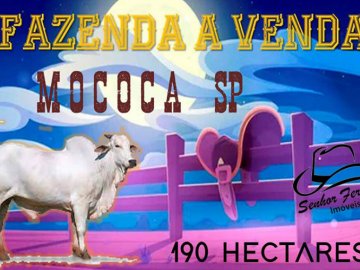 Fazenda a venda em Mococa-SP