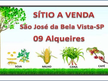 SÍTIO PARA LAVOURA A VENDA