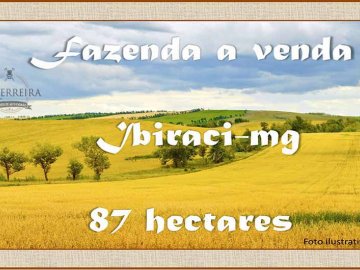 FAZENDA A VENDA EM IBIRACI-MG - 87,12 hectares