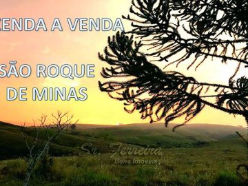 FAZENDA A VENDA EM SÃO ROQUE DE MINAS