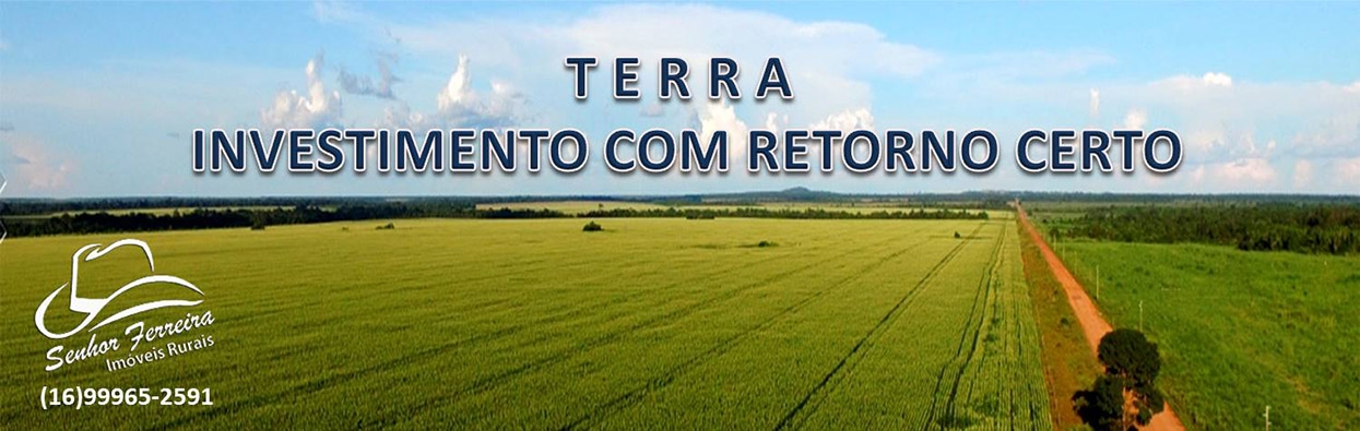 Imagem 4